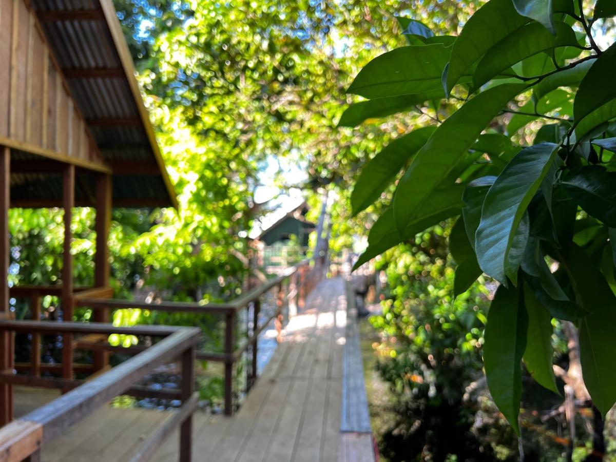 Amazonia Lodge Exxperience Paricatuba 외부 사진